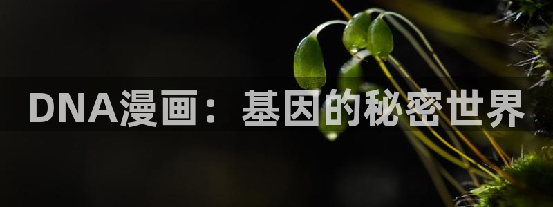 香蕉文化漫画阅读入口