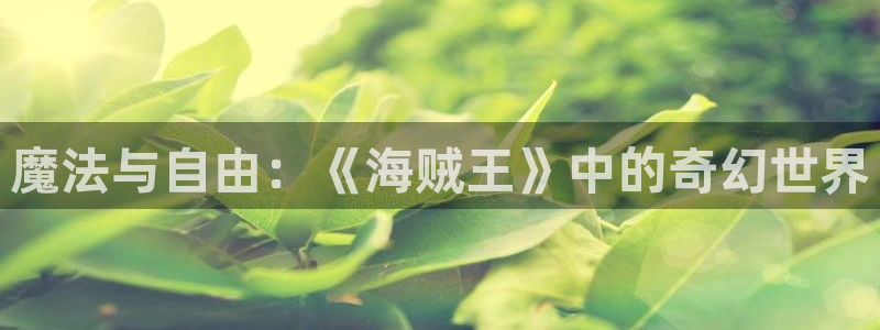 香蕉文化漫画书阅读下拉式最新：魔法与自由：《海贼王》中的奇幻世界