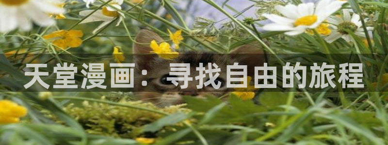 香蕉漫画版：天堂漫画：寻找自由的旅程