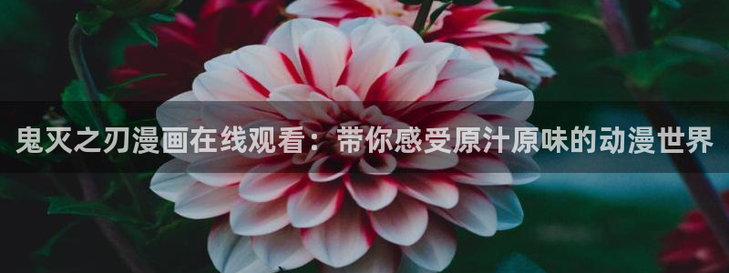 香蕉文化漫画书在线阅读平台下拉式：鬼灭之刃漫画在线观看：带你感受原汁原味的动漫世界